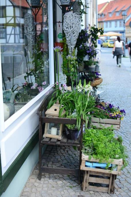 Schoene Ferienwohnung Mit Zwei Schlafzimmern 奎德林堡 外观 照片